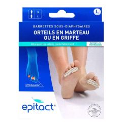 Epithelium barrettes sous-diaphysaires homme taille L