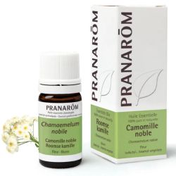 Pranarôm huile essentielle Camomille Noble Bio 5 ml