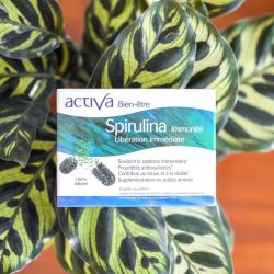 BIEN-ETRE SPIRULINA GÈl B/30