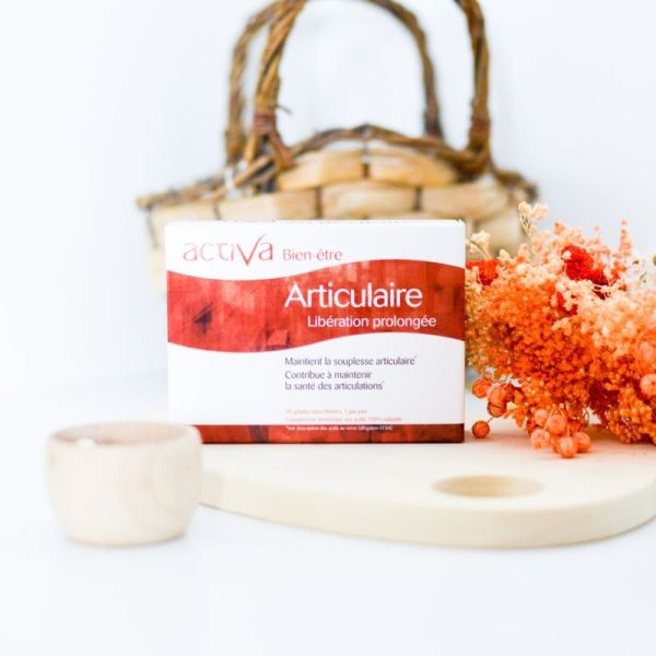 ACTIVA BIEN-ETRE ARTICULAIR GELU30