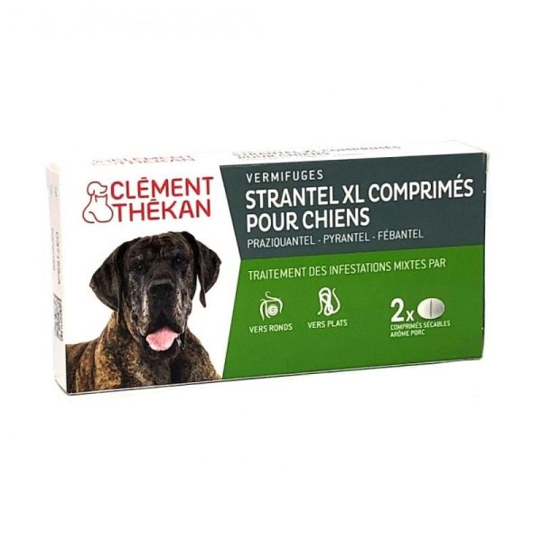 STRANTEL CHIEN XL CPR VERMIFUGE B/2